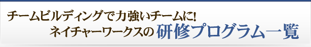 チームビルディングで力強いチームに!ネイチャーワークスの研修プログラム一覧